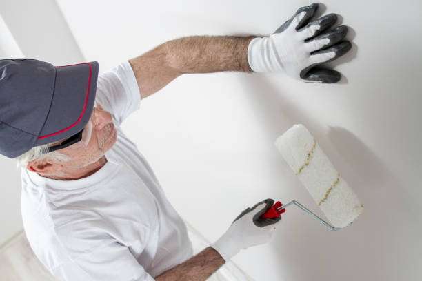 Best Basement Mold Removal  in Bridgehampton, NY