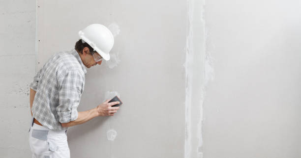 Best Asbestos and Lead Testing During Mold Inspection  in Bridgehampton, NY