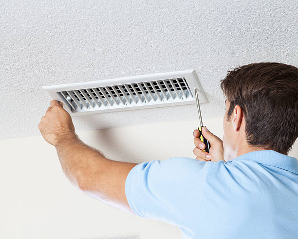 Best Mold-Related Health Consultation  in Bridgehampton, NY