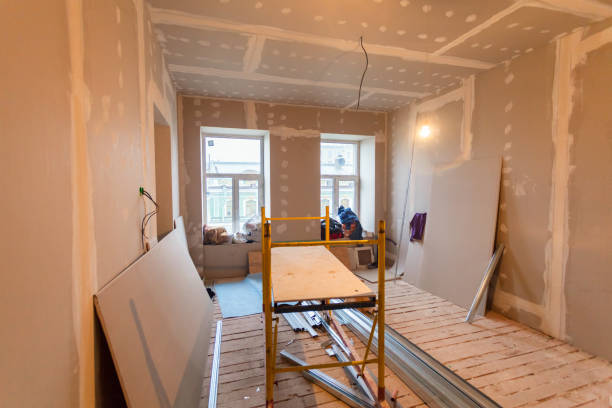Best Black Mold Removal  in Bridgehampton, NY