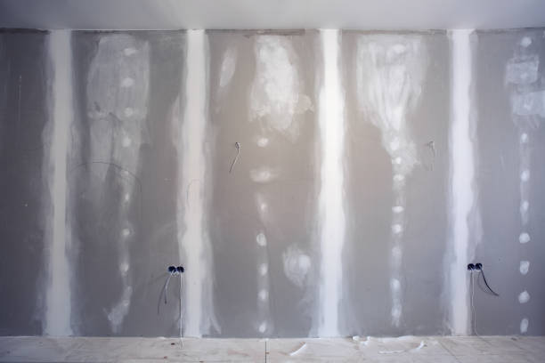 Best Airborne Mold Testing  in Bridgehampton, NY